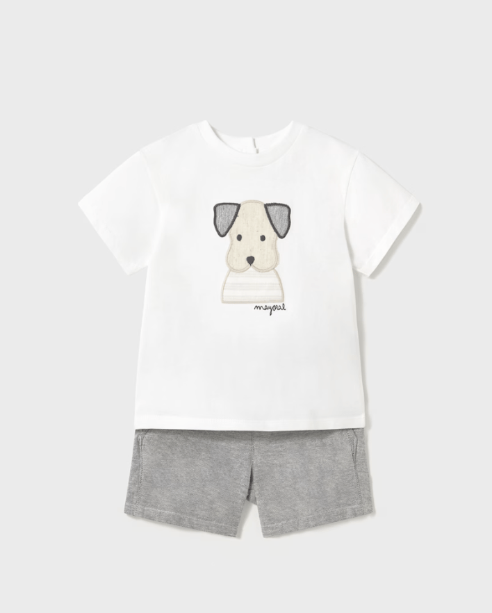 CONJUNTO BERMUDA PERRO